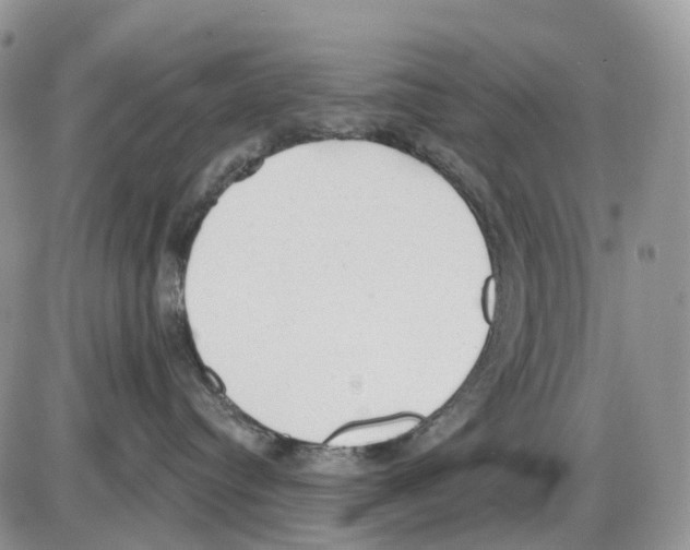 X0000086000384200704201837