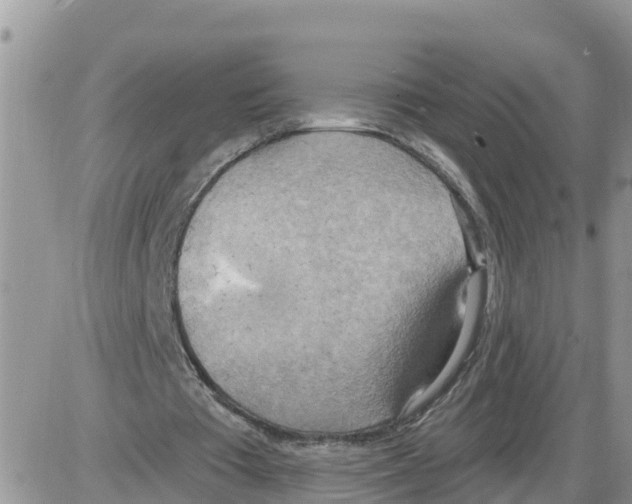 X0000086000385200704201837