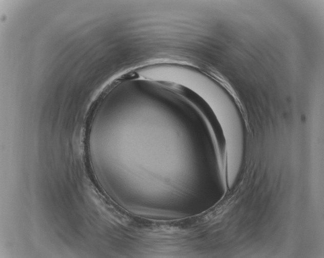 X0000086000387200704201837