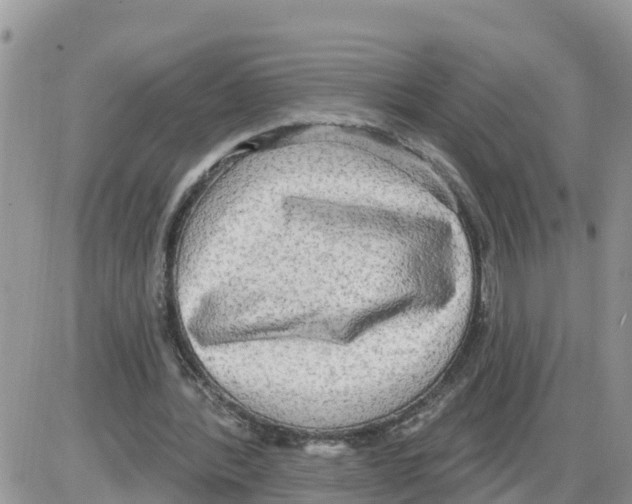 X0000086000388200704201837