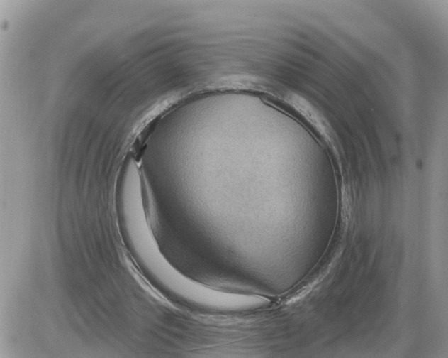 X0000086000389200704201837