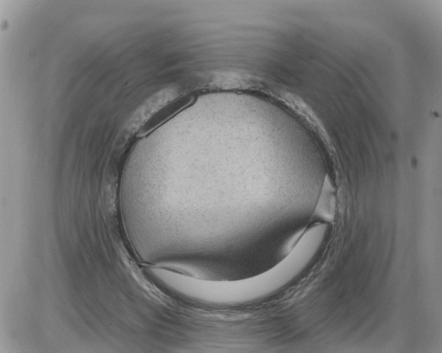 X0000086000393200704201836