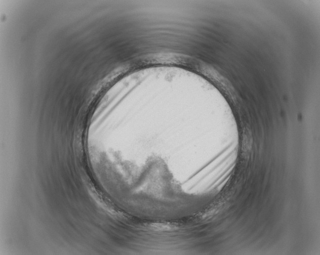 X0000086000394200704201836