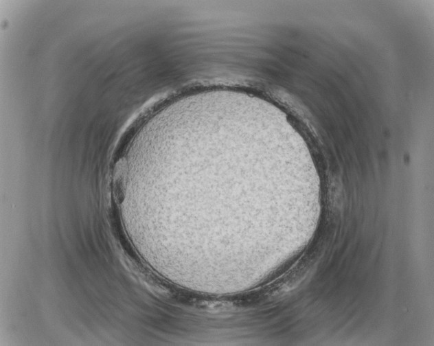 X0000086000395200704201836