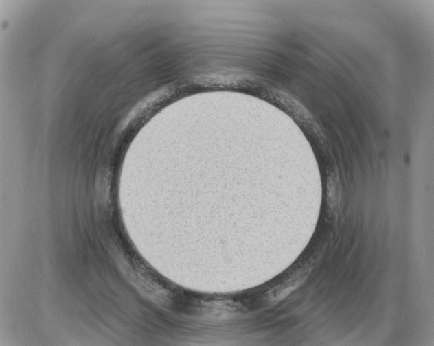 X0000086000396200704201836