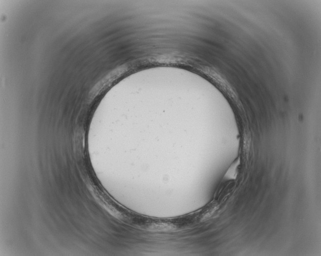 X0000086000397200704201836