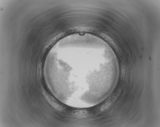 X0000086000398200704201836