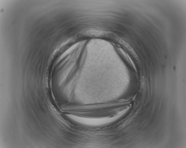 X0000086000399200704201836