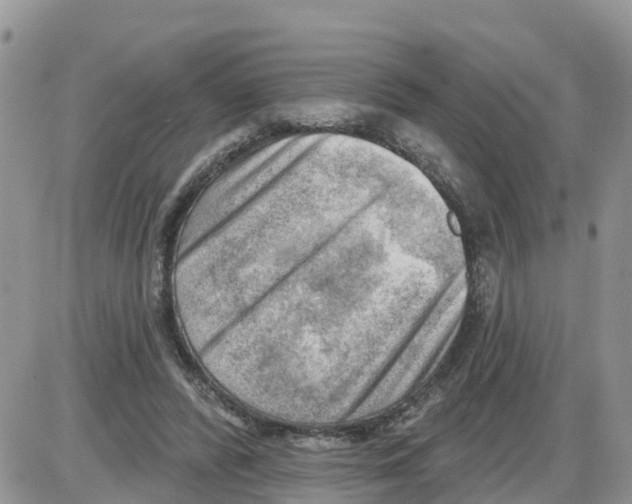 X0000086000400200704201836