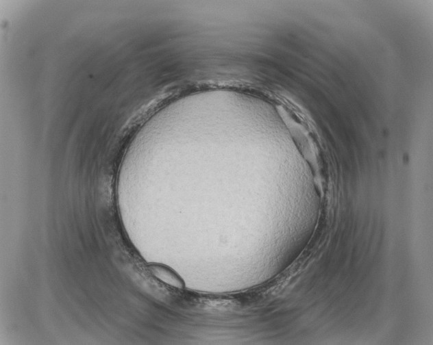 X0000086000401200704201836