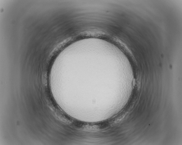 X0000086000403200704201836