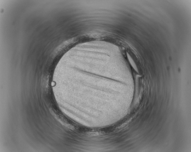 X0000086000404200704201836