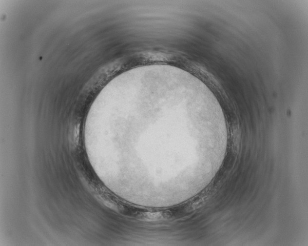 X0000086000406200704201836