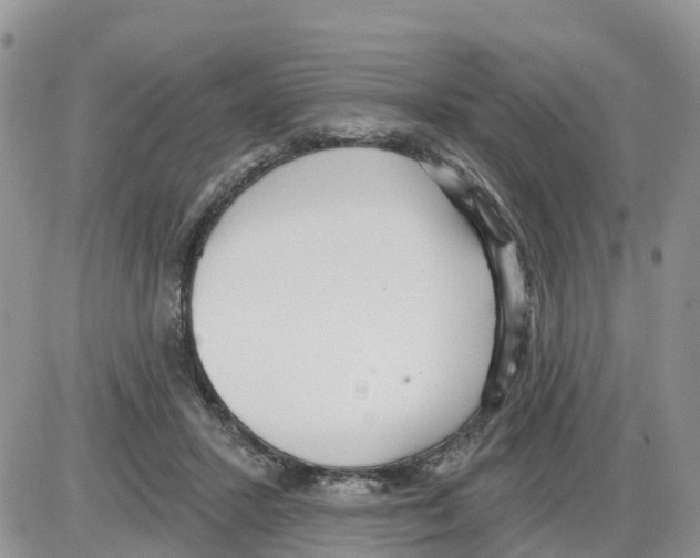 X0000086000407200704201836