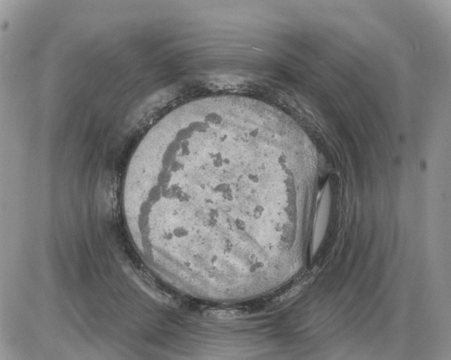 X0000086000408200704201836