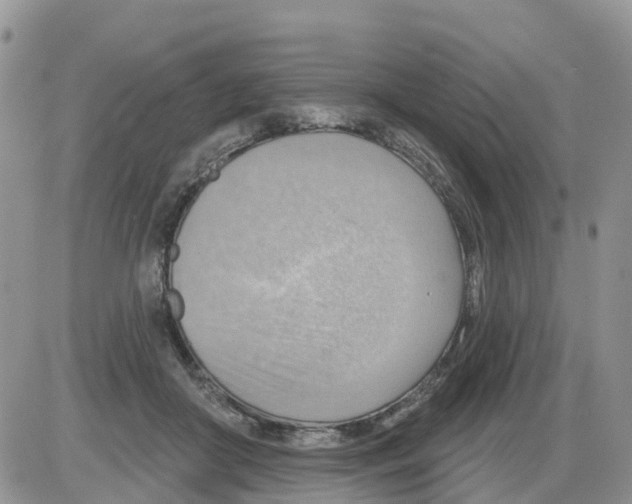 X0000086000410200704201836