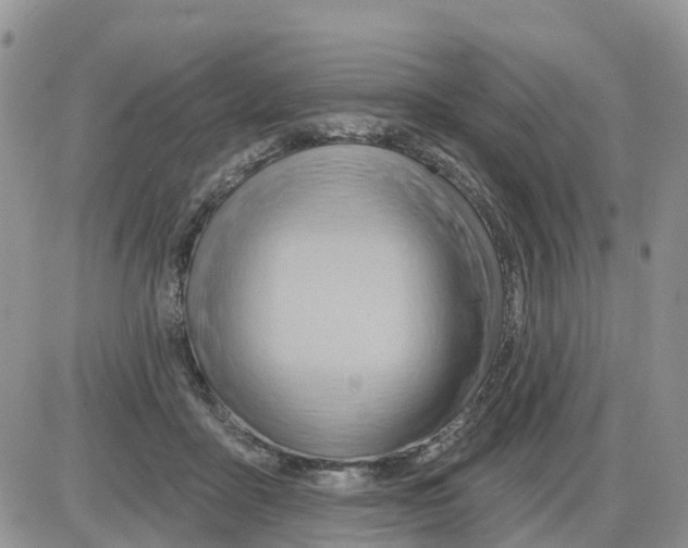 X0000086000411200704201836