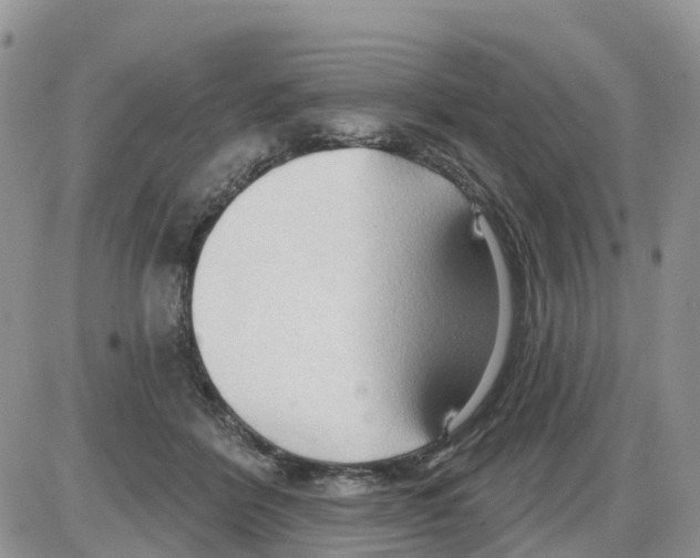 X0000086000412200704201836