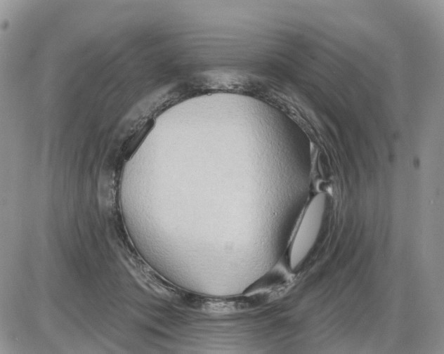 X0000086000413200704201836