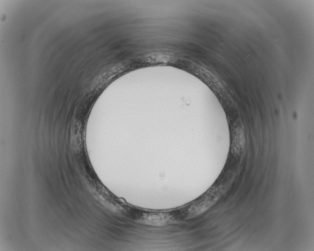 X0000086000414200704201836