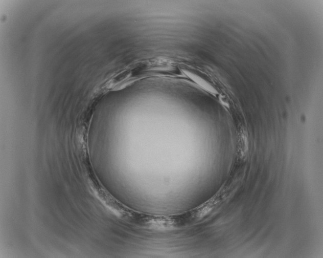 X0000086000415200704201836