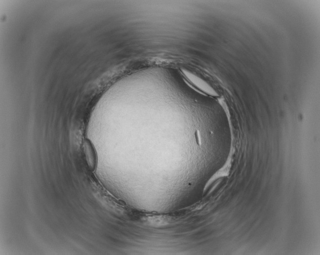 X0000086000417200704201836