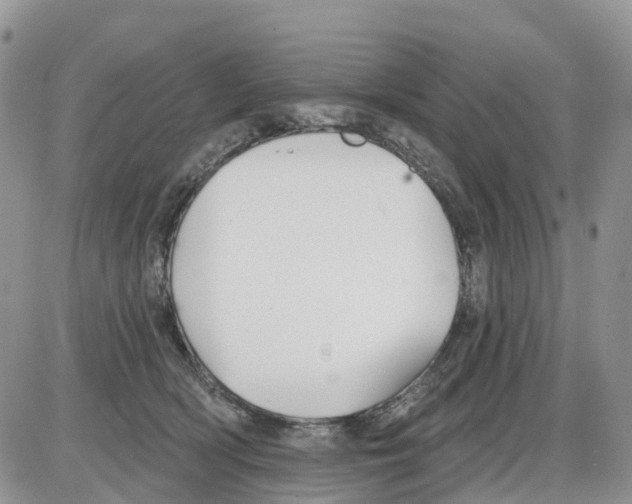 X0000086000418200704201836