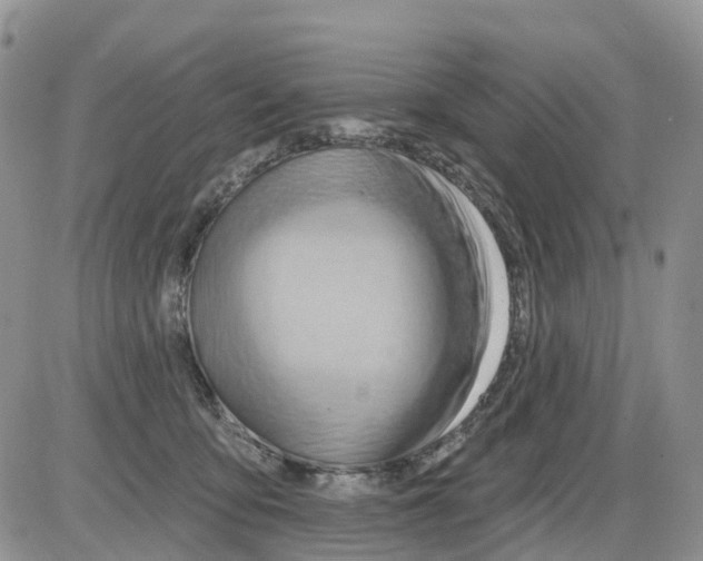 X0000086000419200704201836