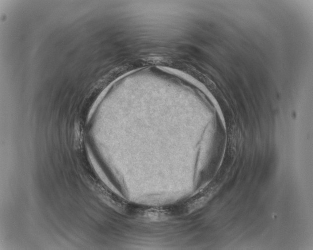 X0000086000420200704201836