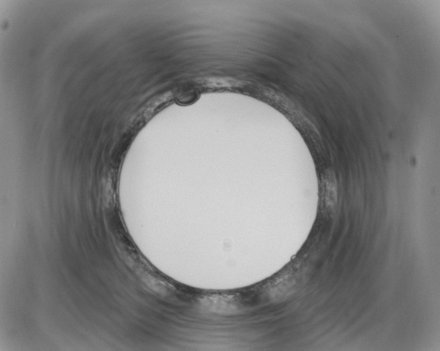 X0000086000422200704201836