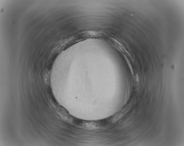 X0000086000423200704201836