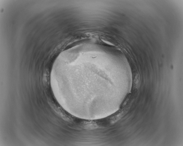 X0000086000424200704201836