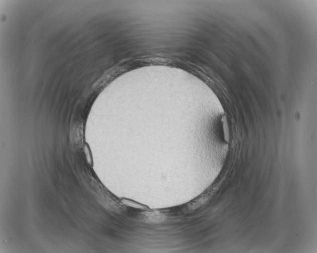 X0000086000425200704201836