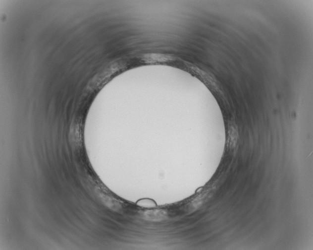 X0000086000426200704201836