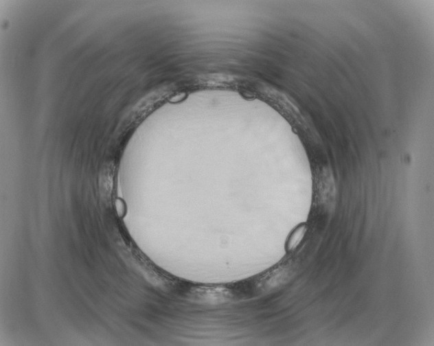 X0000086000427200704201836