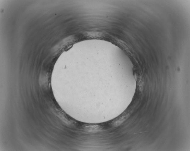 X0000086000428200704201836