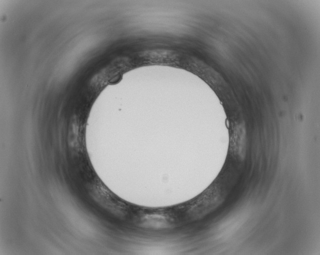 X0000086000430200704201836