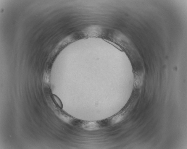 X0000086000431200704201836