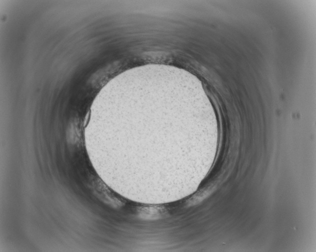 X0000086000432200704201836