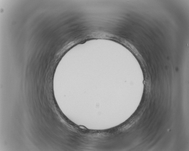 X0000086000433200704201835