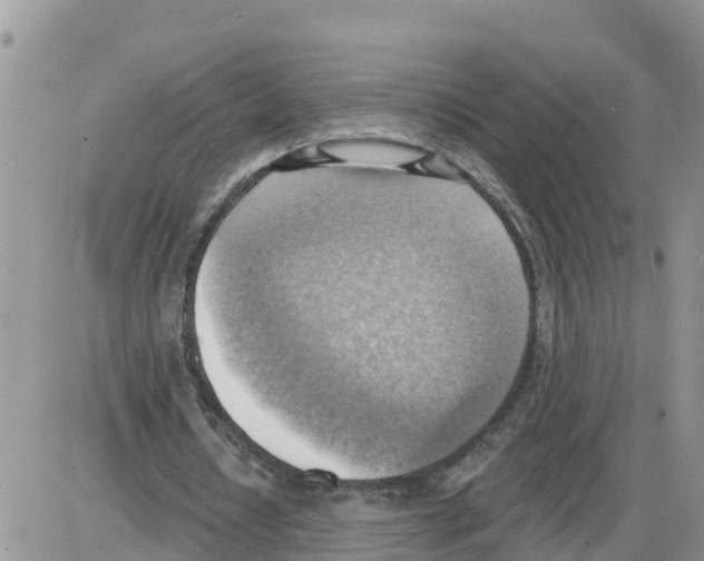 X0000086000434200704201835