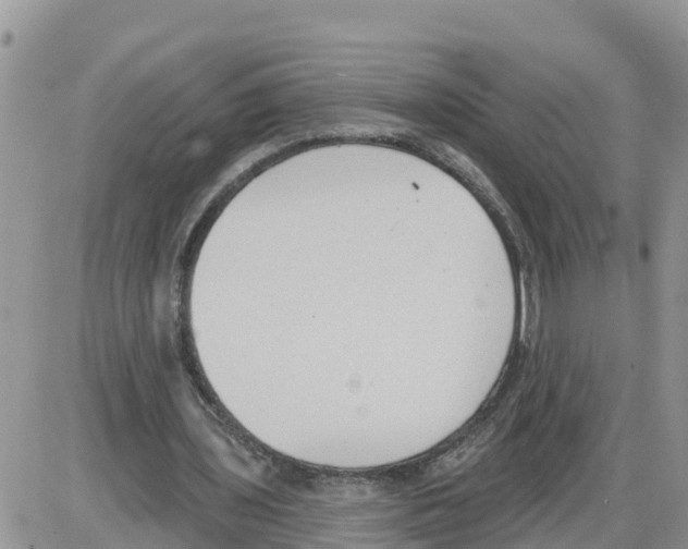 X0000086000435200704201835