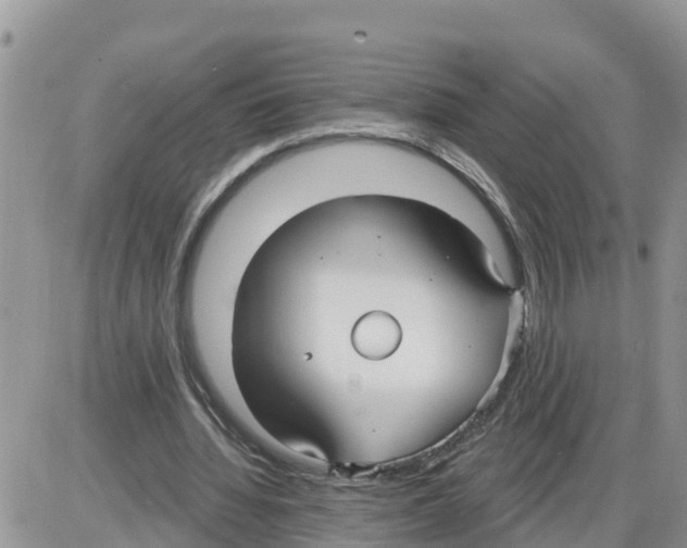 X0000086000436200704201835