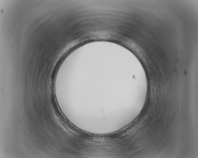 X0000086000439200704201835