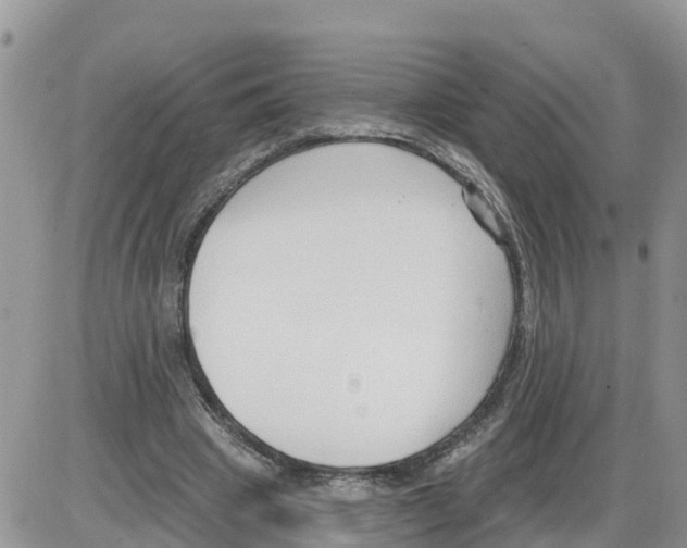 X0000086000441200704201835