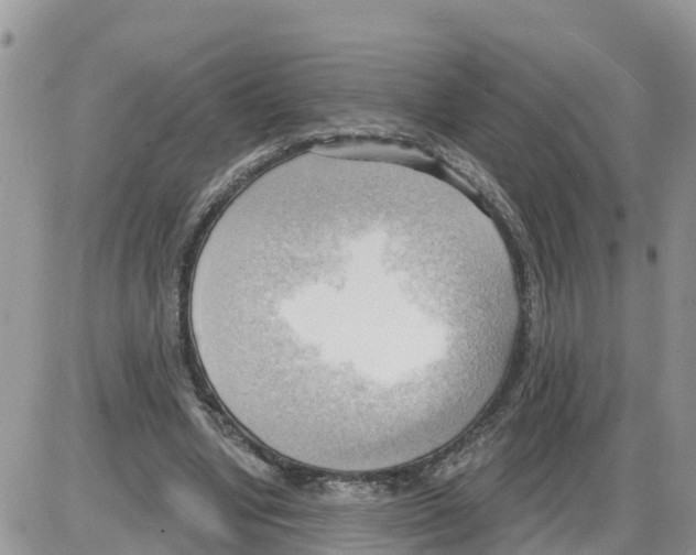 X0000086000442200704201835