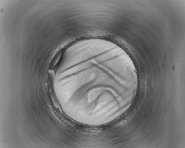 X0000086000443200704201835