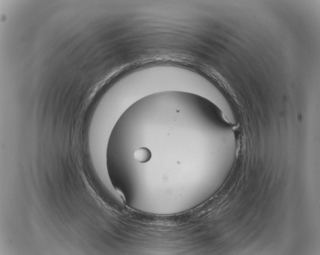 X0000086000444200704201835