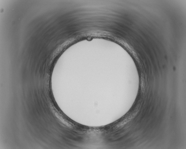 X0000086000445200704201835