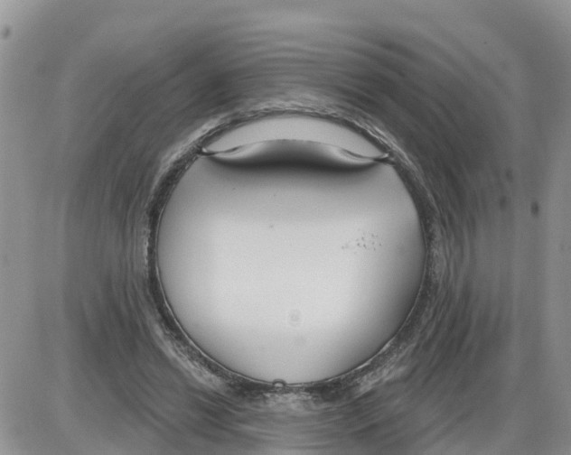 X0000086000446200704201835